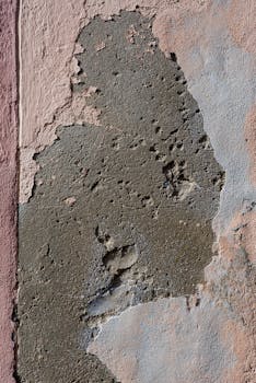 https://images.pexels.com/photos/9876543/pexels-photo-9876543.jpg