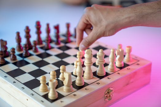 online-bingo-player