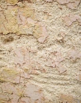 quick_withdrawals_on_pexels