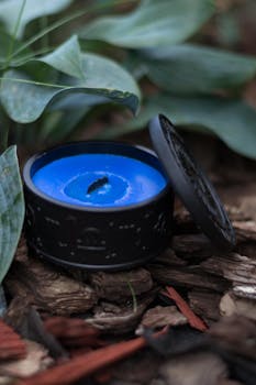 home mortgage concept