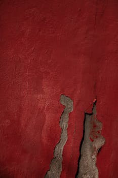 pexels-pexels-photo-987654