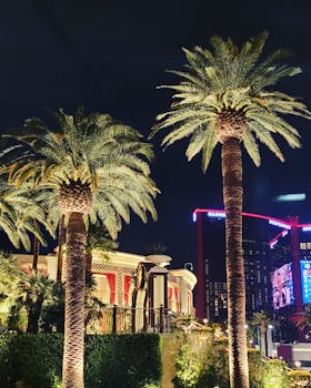 pexels-casino-background