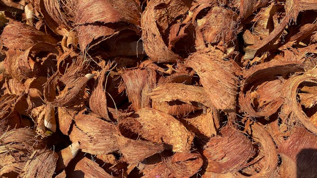 slot machines in casino