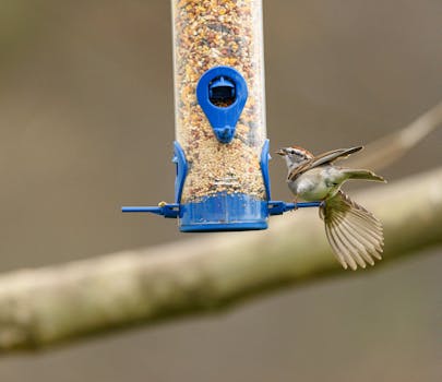 pexels-jet-operations