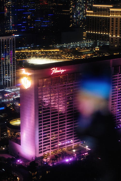 casino chips and cards