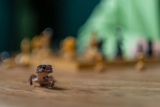 financial management