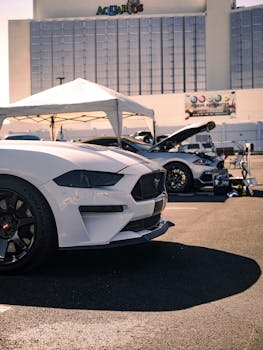 card-symbols-and-chips