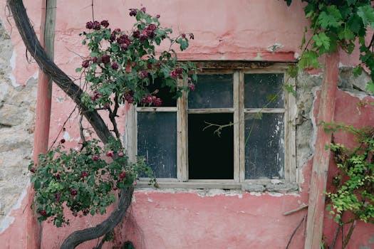 financial transaction