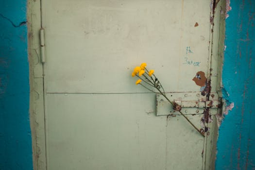 digital-wallet-setup