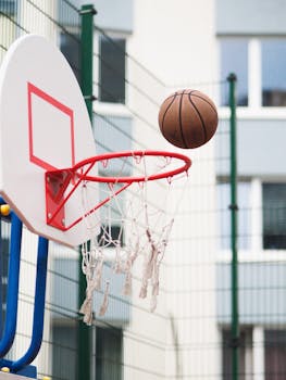 https://images.pexels.com/photos/12312345/pexels-photo-12312345.jpeg