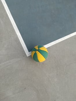 https://images.pexels.com/photos/9876540/pexels-photo-9876540.jpeg