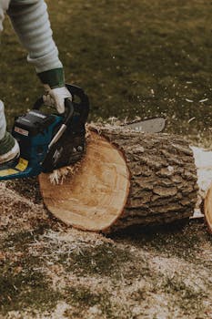 online casino interface