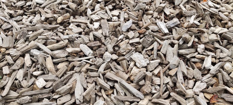 mobile gaming casino