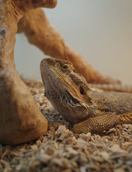 money-management-pexels