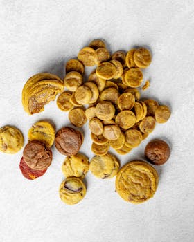 Luottotiedottomalle Vippi: Nopeat Lainavaihtoehdot Ilman Luottotietojen Tarkistusta