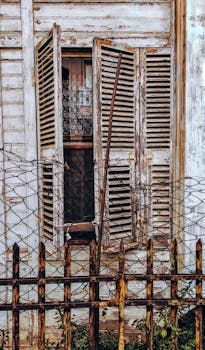 online application process on pexels