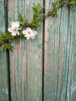 Supervippi: Vinkit Ja Vertailut Suomalaisilla Vippimarkkinoilla