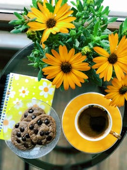 Casino Tampere Pokeri: Pelaaminen Ja Mahdollisuudet