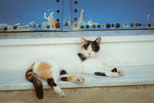 Jokeri Pokeri Voittostudio: Strategiat Ja Vinkit Voiton Saaamiseen