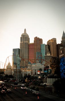 slot machines and live dealer games