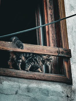 {colorful slot on pexels}