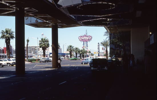 pexels-casinos-people