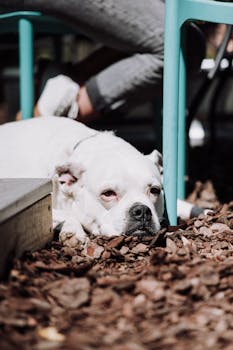 Neonvegas Kotiutus Kesto: Kuinka Pitkä Aika Kestää Voittojen Maksu Casinolla