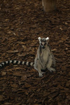 {online_gambling_technology}