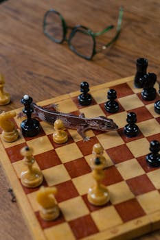 Casinohuone Chat – Tietoa Suomalaisen Kasinon Asiakaspalvelusta Ja Chat-tuesta