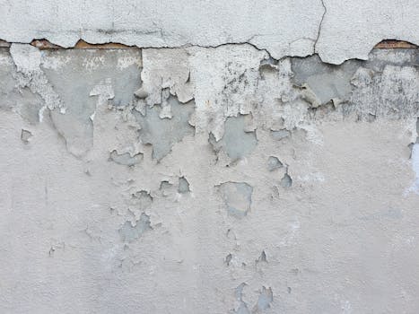 business-meeting-rapport